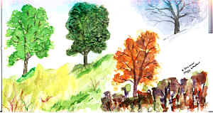 Four Seasons by Peggy Lawton
